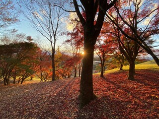 季節の変わり目の時期は